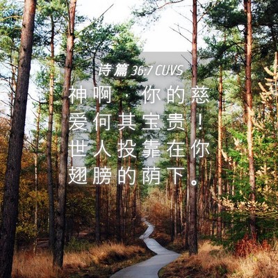 Picture 04 - 诗 篇 36:7 CUVS - 神 啊 ， 你 的 慈 爱 何 其 宝 贵 ！ - Bible Verse Picture