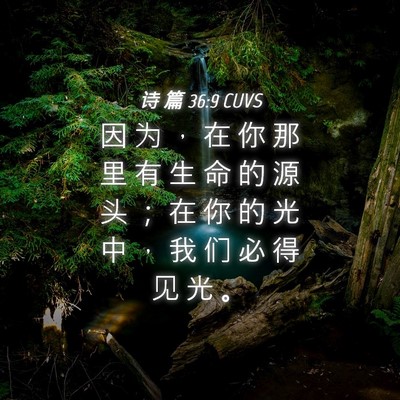 Picture 04 - 诗 篇 36:9 CUVS - 因 为 ， 在 你 那 里 有 生 命 的 源 - Bible Verse Picture