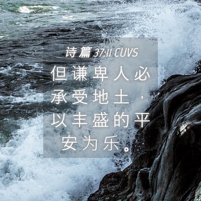 Picture 04 - 诗 篇 37:11 CUVS - 但 谦 卑 人 必 承 受 地 土 ， 以 丰 - Bible Verse Picture