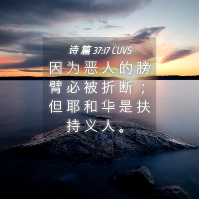 Picture 04 - 诗 篇 37:17 CUVS - 因 为 恶 人 的 膀 臂 必 被 折 断 ； - Bible Verse Picture
