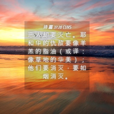Picture 04 - 诗 篇 37:20 CUVS - 恶 人 却 要 灭 亡 。 耶 和 华 的 仇 - Bible Verse Picture