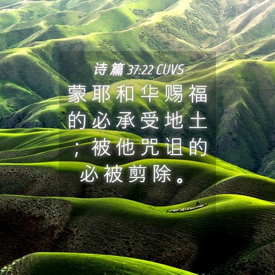 Picture 04 - 诗 篇 37:22 CUVS - 蒙 耶 和 华 赐 福 的 必 承 受 地 土 - Bible Verse Picture