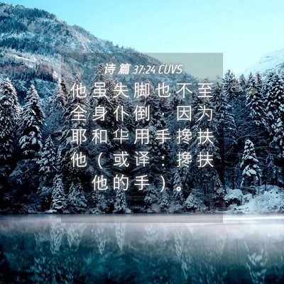 Picture 04 - 诗 篇 37:24 CUVS - 他 虽 失 脚 也 不 至 全 身 仆 倒 ， - Bible Verse Picture
