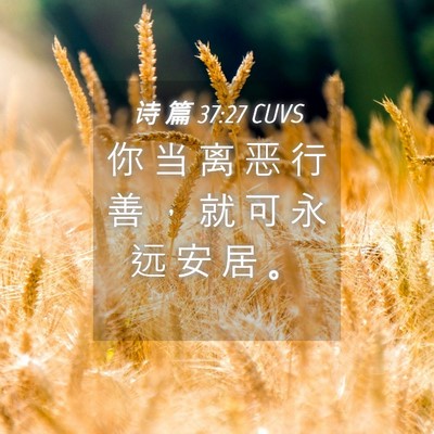 Picture 04 - 诗 篇 37:27 CUVS - 你 当 离 恶 行 善 ， 就 可 永 远 安 - Bible Verse Picture