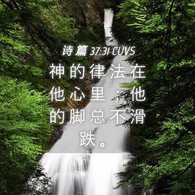 Picture 04 - 诗 篇 37:31 CUVS - 神 的 律 法 在 他 心 里 ； 他 的 脚 - Bible Verse Picture
