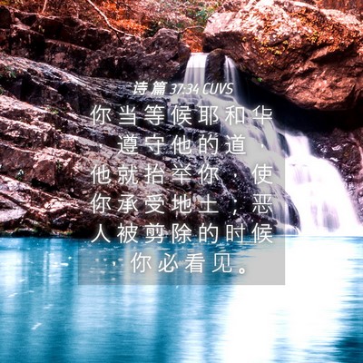 Picture 04 - 诗 篇 37:34 CUVS - 你 当 等 候 耶 和 华 ， 遵 守 他 的 - Bible Verse Picture