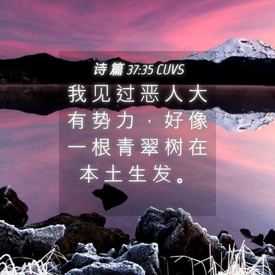 Picture 04 - 诗 篇 37:35 CUVS - 我 见 过 恶 人 大 有 势 力 ， 好 像 - Bible Verse Picture