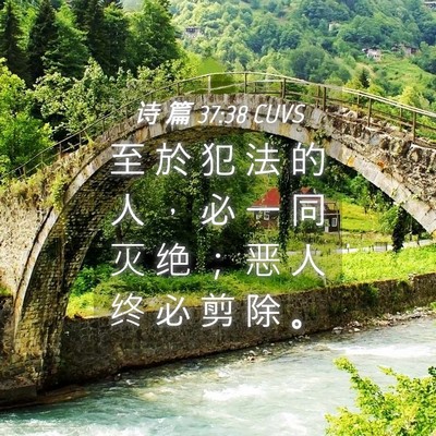 Picture 04 - 诗 篇 37:38 CUVS - 至 於 犯 法 的 人 ， 必 一 同 灭 绝 - Bible Verse Picture
