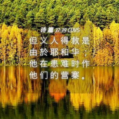 Picture 04 - 诗 篇 37:39 CUVS - 但 义 人 得 救 是 由 於 耶 和 华 ； - Bible Verse Picture