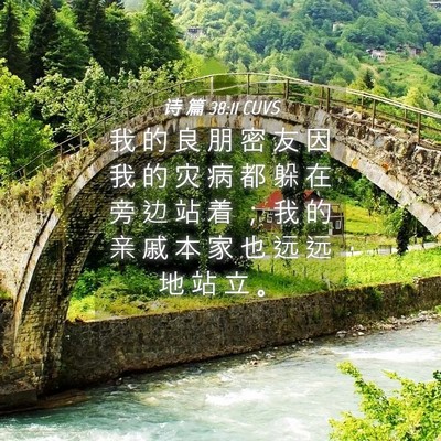 Picture 04 - 诗 篇 38:11 CUVS - 我 的 良 朋 密 友 因 我 的 灾 病 都 - Bible Verse Picture