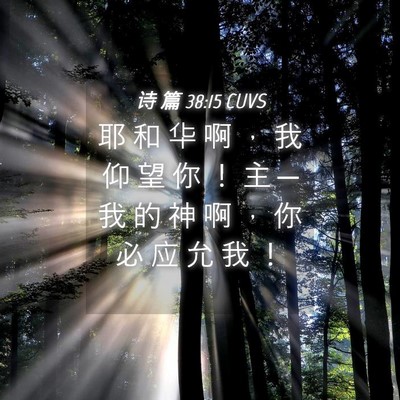 Picture 04 - 诗 篇 38:15 CUVS - 耶 和 华 啊 ， 我 仰 望 你 ！ 主 ─ - Bible Verse Picture