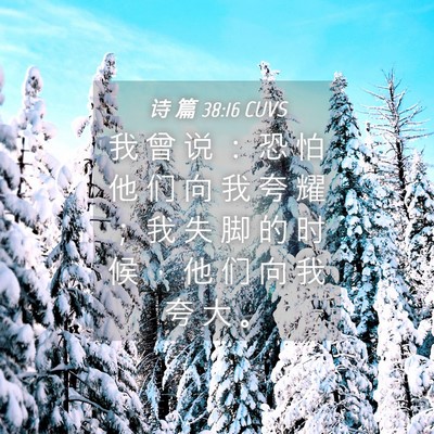 Picture 04 - 诗 篇 38:16 CUVS - 我 曾 说 ： 恐 怕 他 们 向 我 夸 耀 - Bible Verse Picture