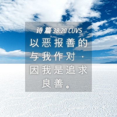 Picture 04 - 诗 篇 38:20 CUVS - 以 恶 报 善 的 与 我 作 对 ， 因 我 - Bible Verse Picture