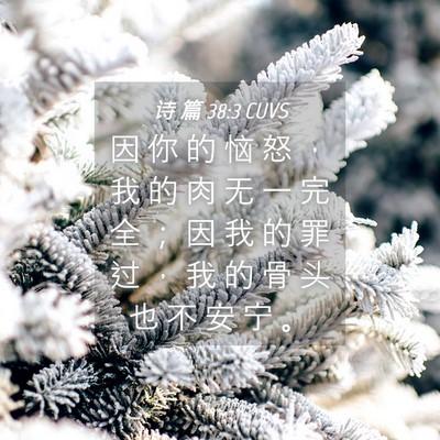Picture 04 - 诗 篇 38:3 CUVS - 因 你 的 恼 怒 ， 我 的 肉 无 一 完 - Bible Verse Picture