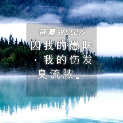 Picture 04 - 诗 篇 38:5 CUVS - 因 我 的 愚 昧 ， 我 的 伤 发 臭 流 - Bible Verse Picture
