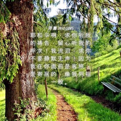 Picture 04 - 诗 篇 39:12 CUVS - 耶 和 华 啊 ， 求 你 听 我 的 祷 告 - Bible Verse Picture
