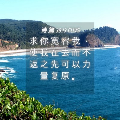 Picture 04 - 诗 篇 39:13 CUVS - 求 你 宽 容 我 ， 使 我 在 去 而 不 - Bible Verse Picture
