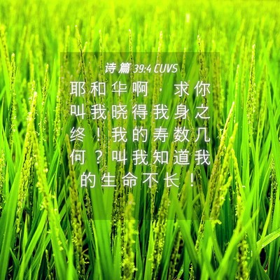 Picture 04 - 诗 篇 39:4 CUVS - 耶 和 华 啊 ， 求 你 叫 我 晓 得 我 - Bible Verse Picture