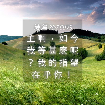 Picture 04 - 诗 篇 39:7 CUVS - 主 啊 ， 如 今 我 等 甚 麽 呢 ？ 我 - Bible Verse Picture