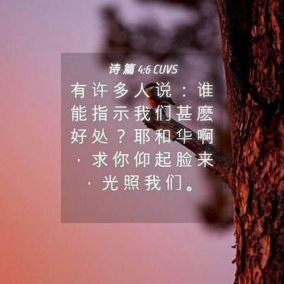 Picture 04 - 诗 篇 4:6 CUVS - 有 许 多 人 说 ： 谁 能 指 示 我 们 - Bible Verse Picture