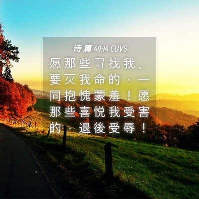 Picture 04 - 诗 篇 40:14 CUVS - 愿 那 些 寻 找 我 、 要 灭 我 命 的 - Bible Verse Picture