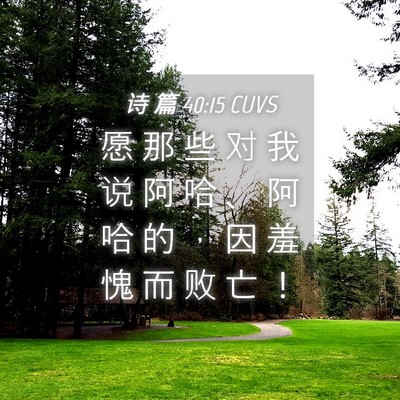 Picture 04 - 诗 篇 40:15 CUVS - 愿 那 些 对 我 说 阿 哈 、 阿 哈 的 - Bible Verse Picture