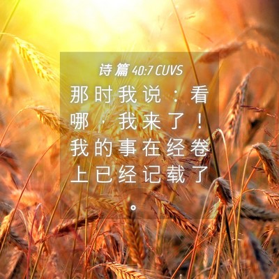 Picture 04 - 诗 篇 40:7 CUVS - 那 时 我 说 ： 看 哪 ， 我 来 了 ！ - Bible Verse Picture