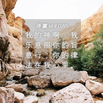 Picture 04 - 诗 篇 40:8 CUVS - 我 的 神 啊 ， 我 乐 意 照 你 的 旨 - Bible Verse Picture