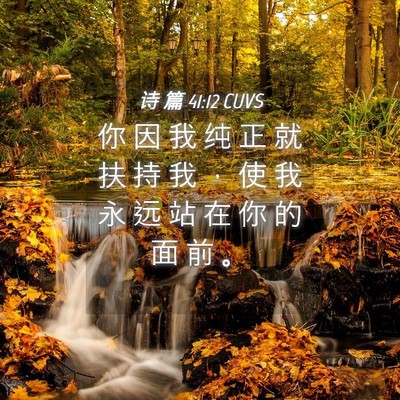 Picture 04 - 诗 篇 41:12 CUVS - 你 因 我 纯 正 就 扶 持 我 ， 使 我 - Bible Verse Picture