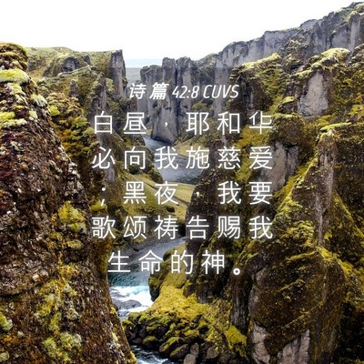 Picture 04 - 诗 篇 42:8 CUVS - 白 昼 ， 耶 和 华 必 向 我 施 慈 爱 - Bible Verse Picture