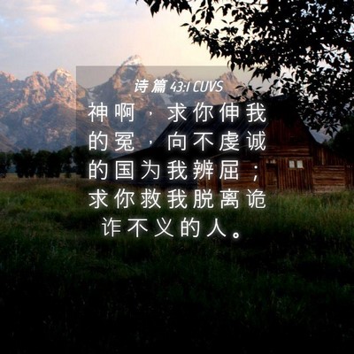 Picture 04 - 诗 篇 43:1 CUVS - 神 啊 ， 求 你 伸 我 的 冤 ， 向 不 - Bible Verse Picture