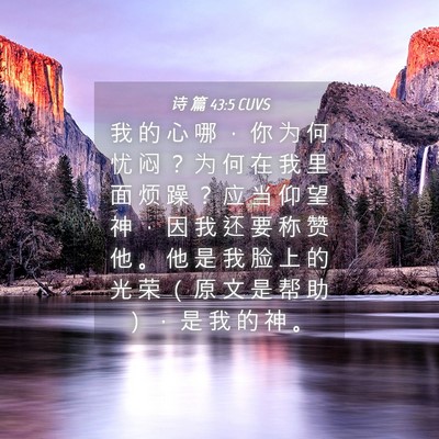 Picture 04 - 诗 篇 43:5 CUVS - 我 的 心 哪 ， 你 为 何 忧 闷 ？ 为 - Bible Verse Picture