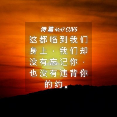 Picture 04 - 诗 篇 44:17 CUVS - 这 都 临 到 我 们 身 上 ， 我 们 却 - Bible Verse Picture
