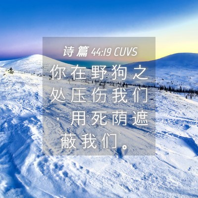 Picture 04 - 诗 篇 44:19 CUVS - 你 在 野 狗 之 处 压 伤 我 们 ， 用 - Bible Verse Picture