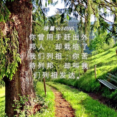 Picture 04 - 诗 篇 44:2 CUVS - 你 曾 用 手 赶 出 外 邦 人 ， 却 栽 - Bible Verse Picture