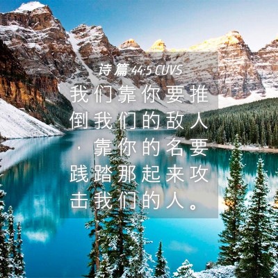 Picture 04 - 诗 篇 44:5 CUVS - 我 们 靠 你 要 推 倒 我 们 的 敌 人 - Bible Verse Picture