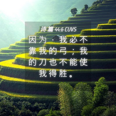 Picture 04 - 诗 篇 44:6 CUVS - 因 为 ， 我 必 不 靠 我 的 弓 ； 我 - Bible Verse Picture