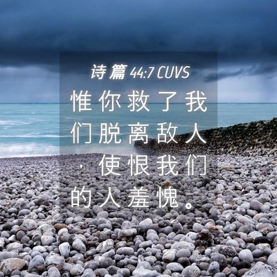 Picture 04 - 诗 篇 44:7 CUVS - 惟 你 救 了 我 们 脱 离 敌 人 ， 使 - Bible Verse Picture