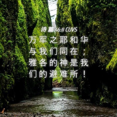 Picture 04 - 诗 篇 46:11 CUVS - 万 军 之 耶 和 华 与 我 们 同 在 ； - Bible Verse Picture