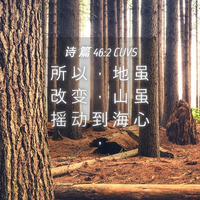 Picture 04 - 诗 篇 46:2 CUVS - 所 以 ， 地 虽 改 变 ， 山 虽 摇 动 - Bible Verse Picture