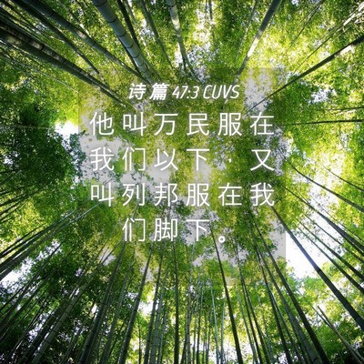 Picture 04 - 诗 篇 47:3 CUVS - 他 叫 万 民 服 在 我 们 以 下 ， 又 - Bible Verse Picture