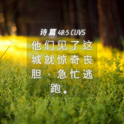 Picture 04 - 诗 篇 48:5 CUVS - 他 们 见 了 这 城 就 惊 奇 丧 胆 ， - Bible Verse Picture
