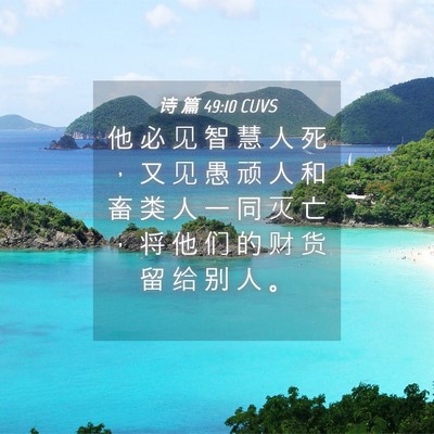 Picture 04 - 诗 篇 49:10 CUVS - 他 必 见 智 慧 人 死 ， 又 见 愚 顽 - Bible Verse Picture