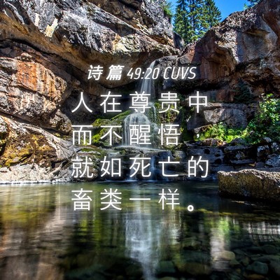Picture 04 - 诗 篇 49:20 CUVS - 人 在 尊 贵 中 而 不 醒 悟 ， 就 如 - Bible Verse Picture