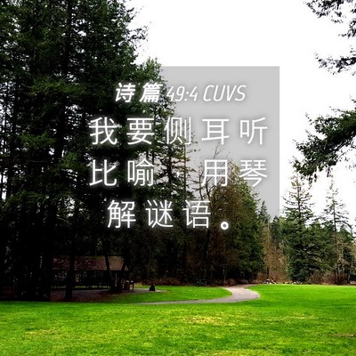 Picture 04 - 诗 篇 49:4 CUVS - 我 要 侧 耳 听 比 喻 ， 用 琴 解 谜 - Bible Verse Picture