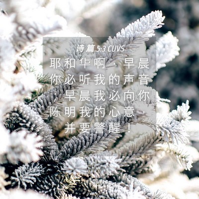 Picture 04 - 诗 篇 5:3 CUVS - 耶 和 华 啊 ， 早 晨 你 必 听 我 的 - Bible Verse Picture