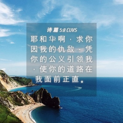 Picture 04 - 诗 篇 5:8 CUVS - 耶 和 华 啊 ， 求 你 因 我 的 仇 敌 - Bible Verse Picture