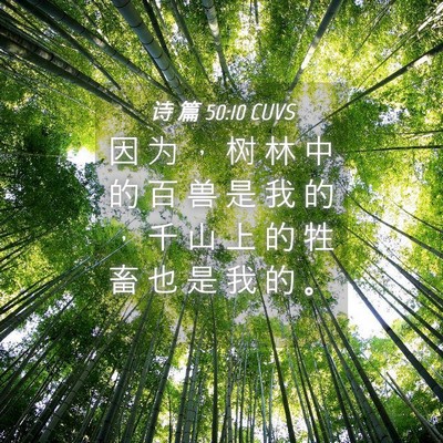 Picture 04 - 诗 篇 50:10 CUVS - 因 为 ， 树 林 中 的 百 兽 是 我 的 - Bible Verse Picture