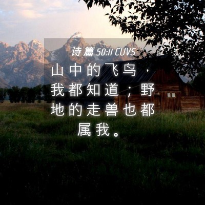 Picture 04 - 诗 篇 50:11 CUVS - 山 中 的 飞 鸟 ， 我 都 知 道 ； 野 - Bible Verse Picture