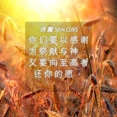 Picture 04 - 诗 篇 50:14 CUVS - 你 们 要 以 感 谢 为 祭 献 与 神 ， - Bible Verse Picture